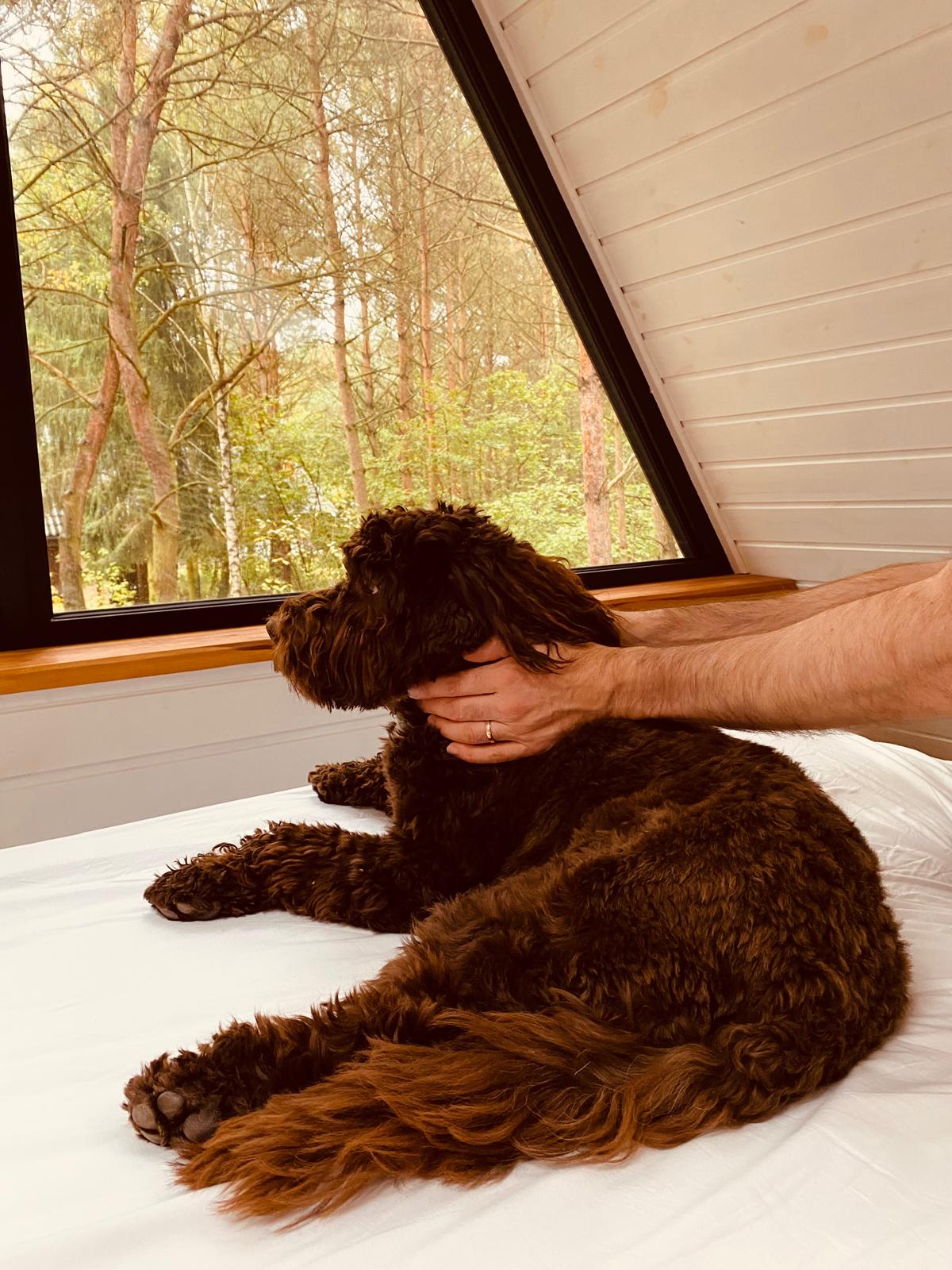 photo 2025 10 11 13 45 54 4